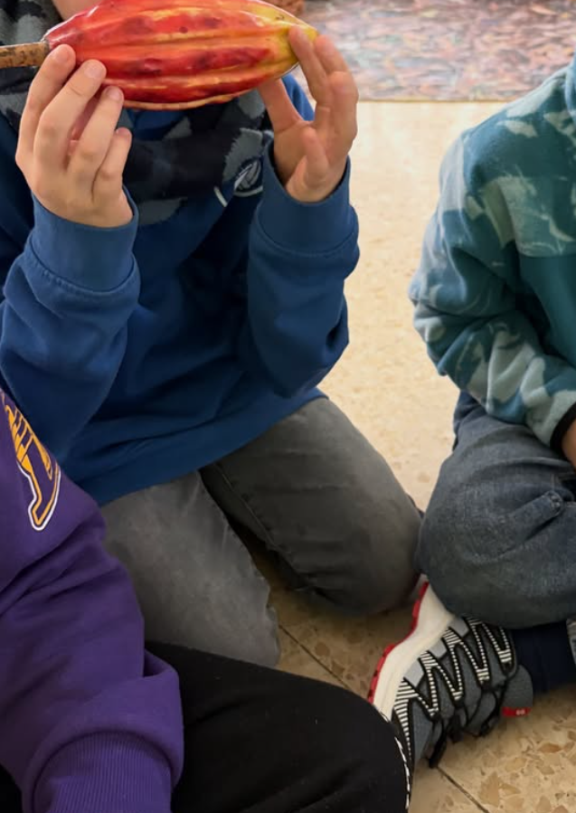 Captura de pantalla 2026-02-18 165321 - còpia - còpia - còpia