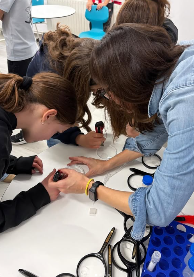 Captura de pantalla 2026-02-20 095556