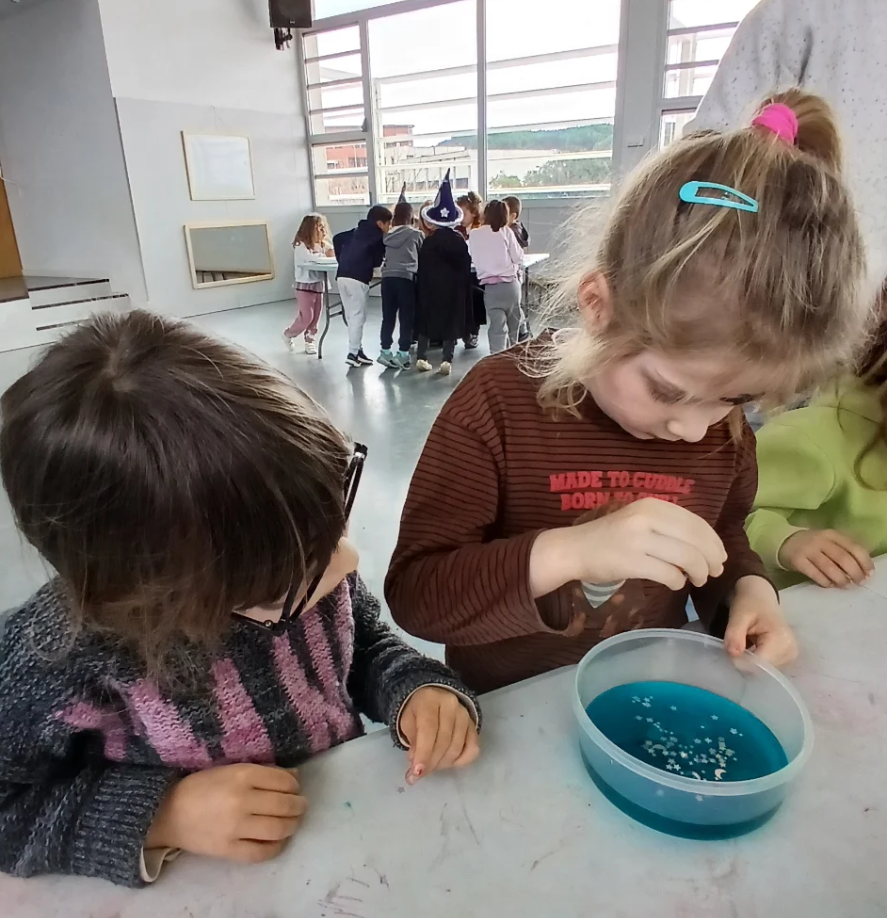 Captura de pantalla 2026-02-26 101738