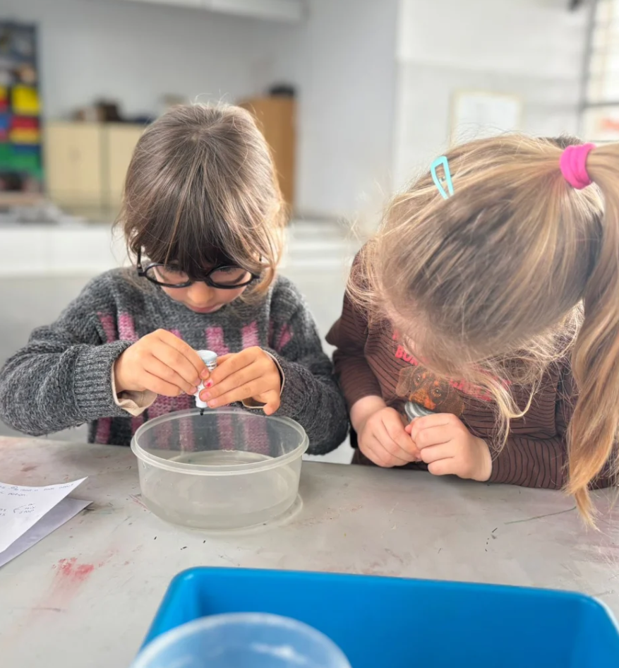 Captura de pantalla 2026-02-26 101759