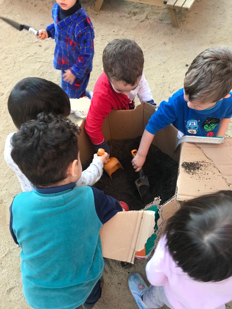 Plantes aromàtiques (1)