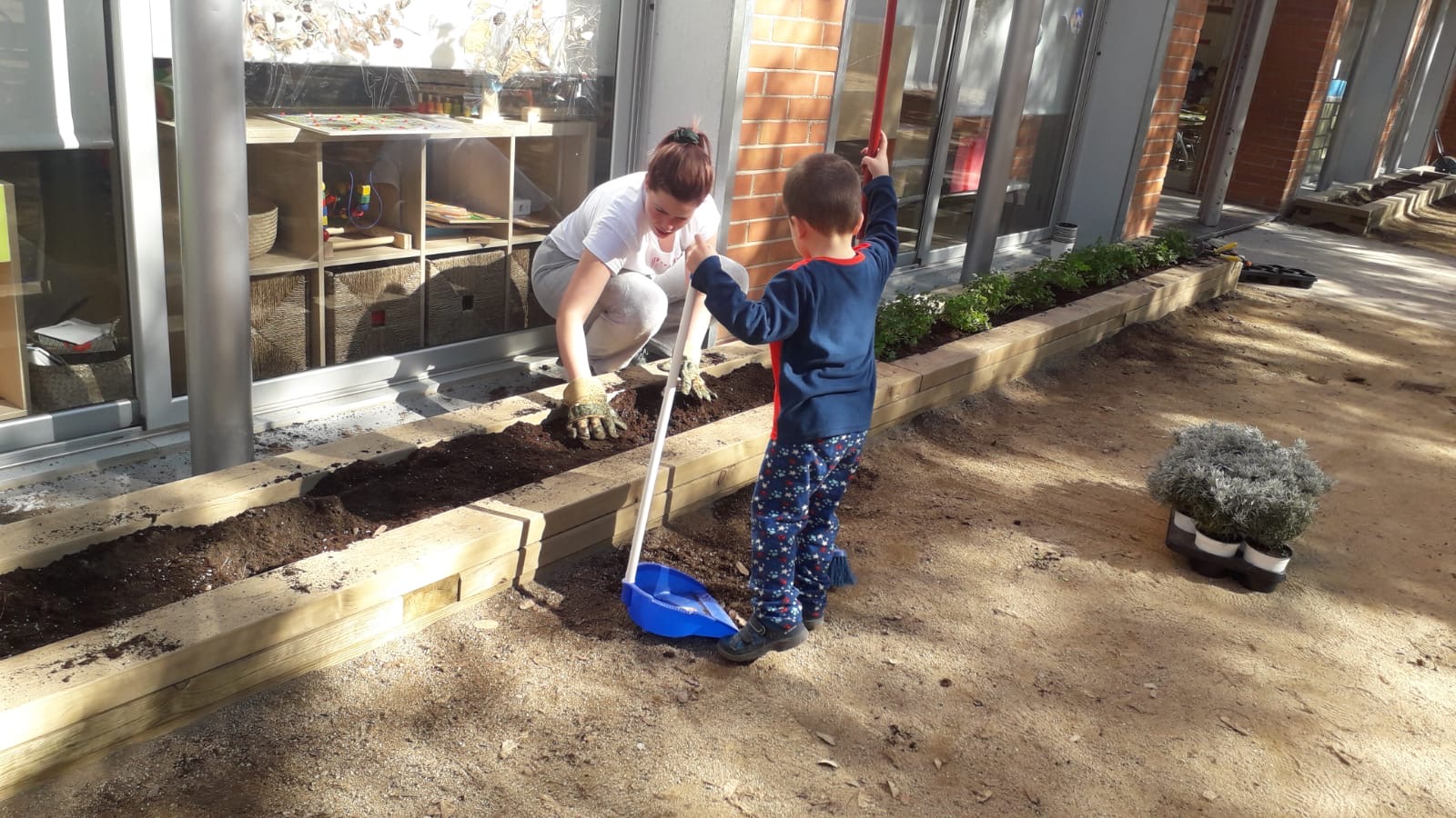 Plantes aromàtiques (10)