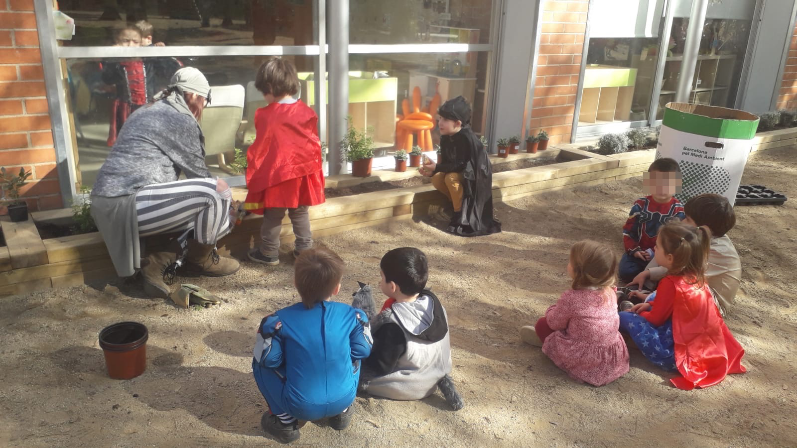 Plantes aromàtiques (11)