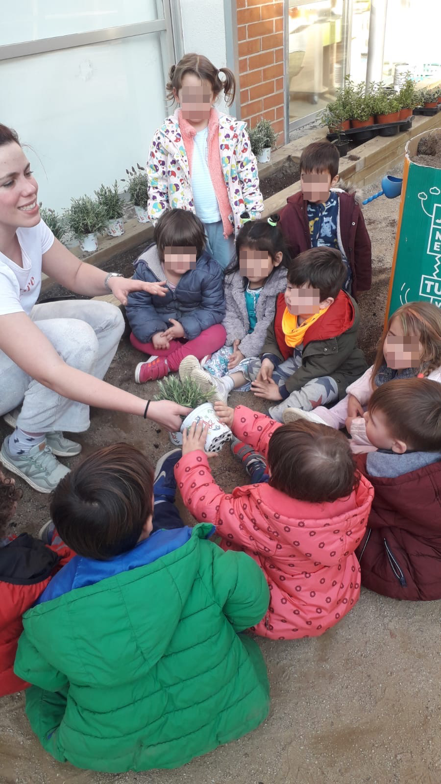 Plantes aromàtiques (2)