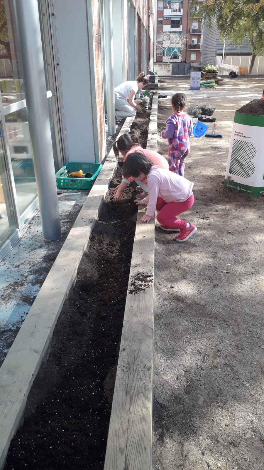 Plantes aromàtiques (3)