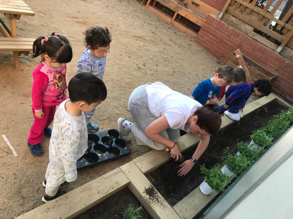 Plantes aromàtiques (8)