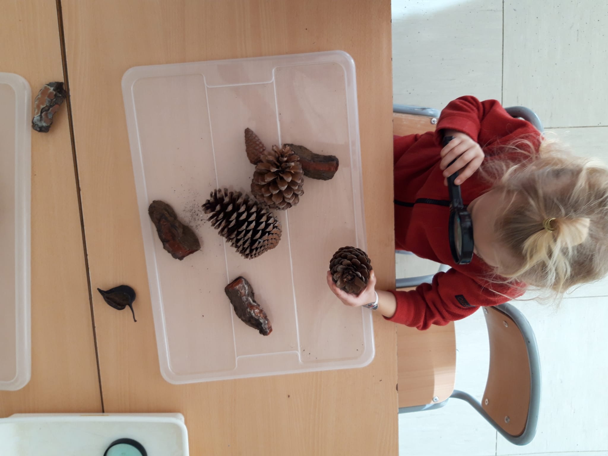 4BC0175B-9E68-4251-93AE-0836F319C6ED