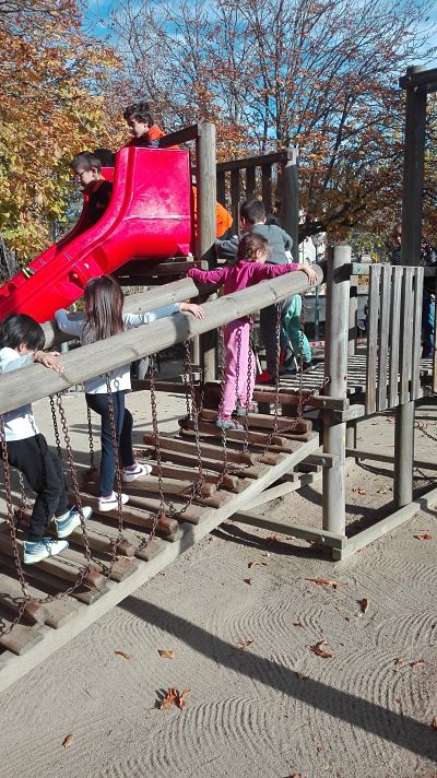 IMG_20191129_134405_opt