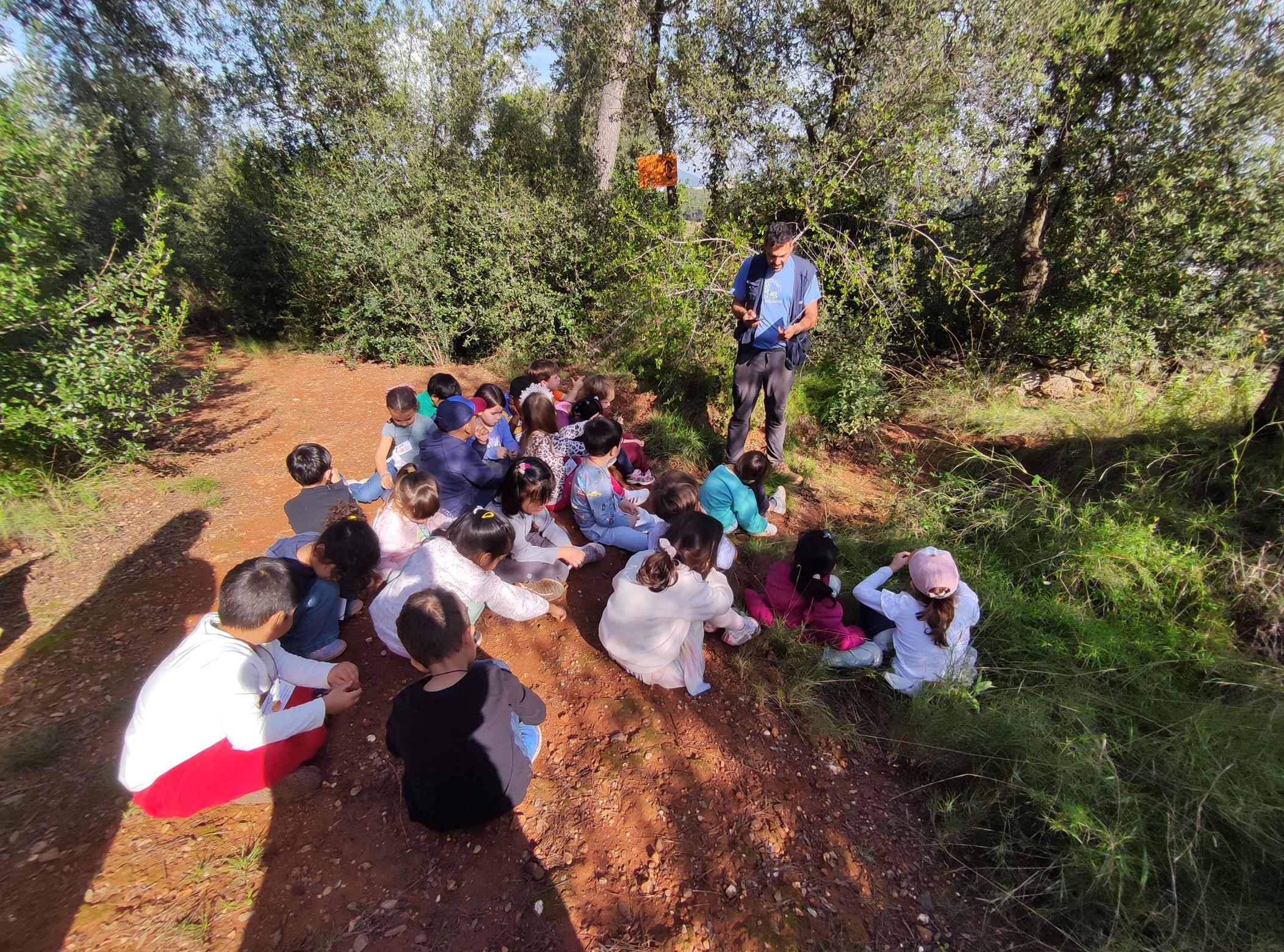 IMG_20241108_121552 (1)