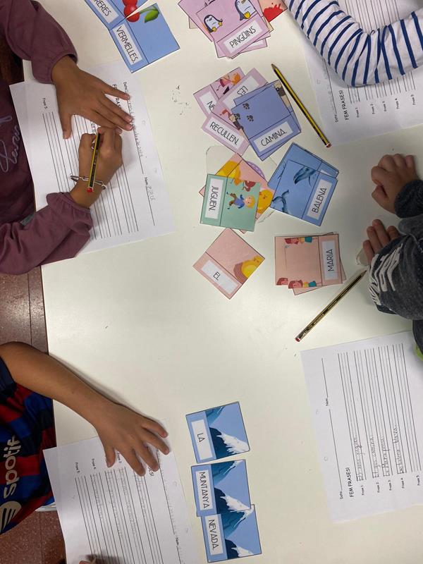 WhatsApp Image 2024-11-20 at 17.52.10