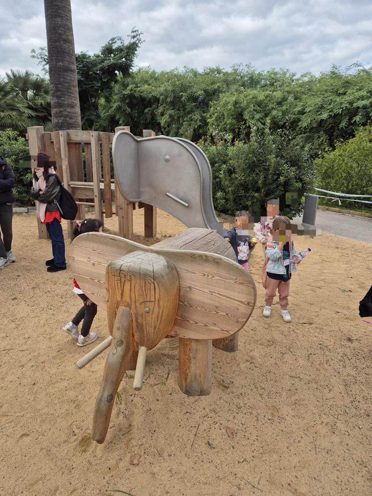 WhatsApp Image 2024-11-29 at 13.13.20