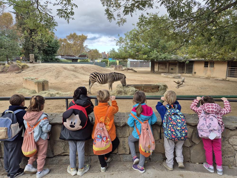 WhatsApp Image 2024-11-29 at 13.13.21 (2)