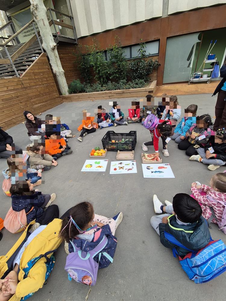 WhatsApp Image 2024-11-29 at 13.13.21