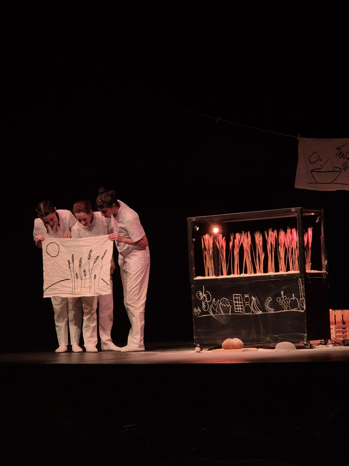 WhatsApp Image 2025-02-01 at 10.31.49 (1)