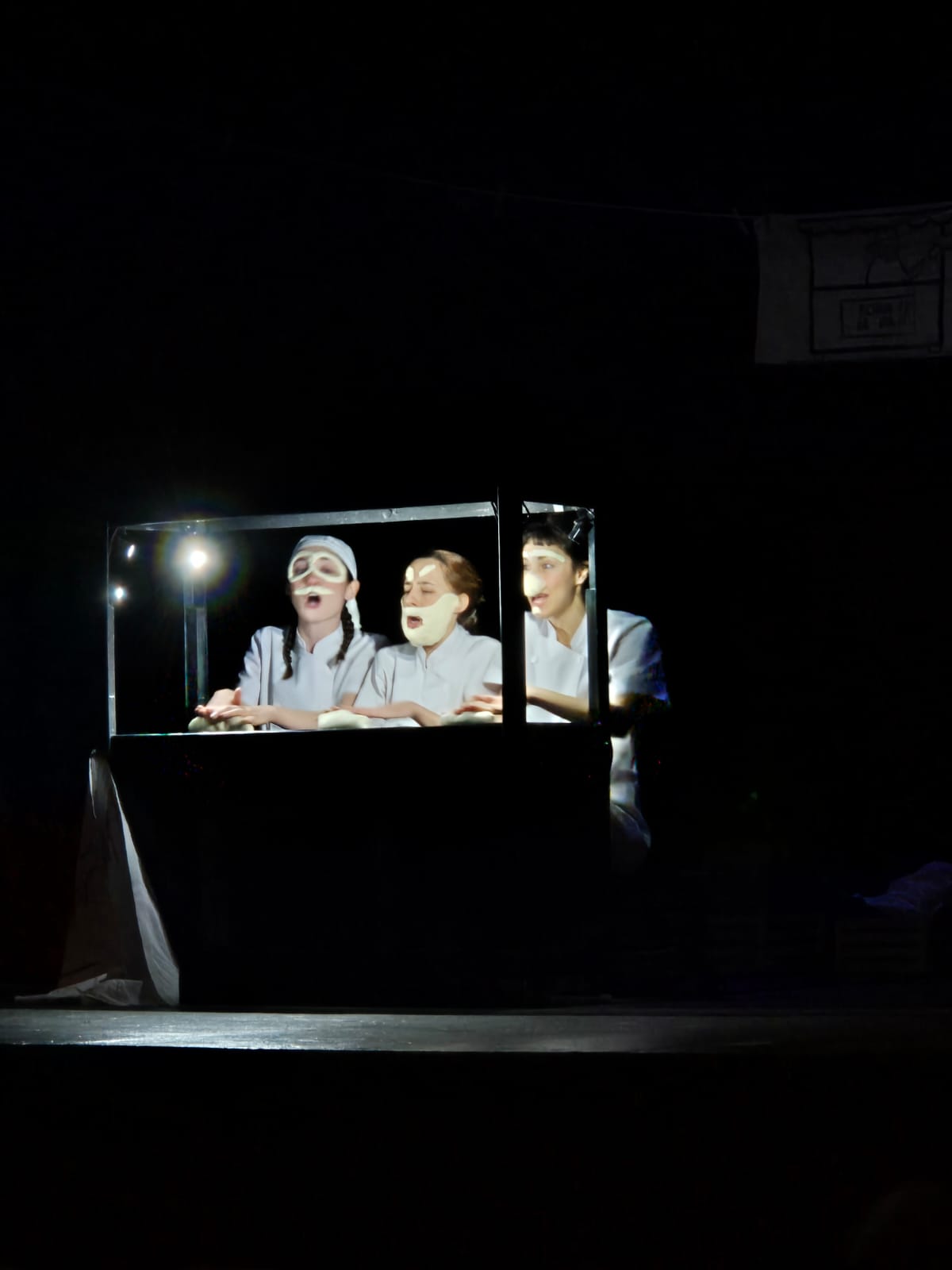 WhatsApp Image 2025-02-01 at 10.31.49