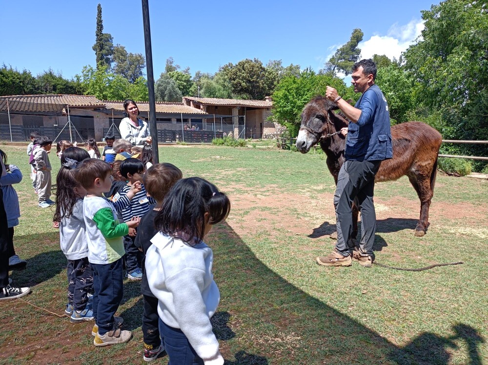 0433162a-fa9d-4ecb-956c-d75cf1789445