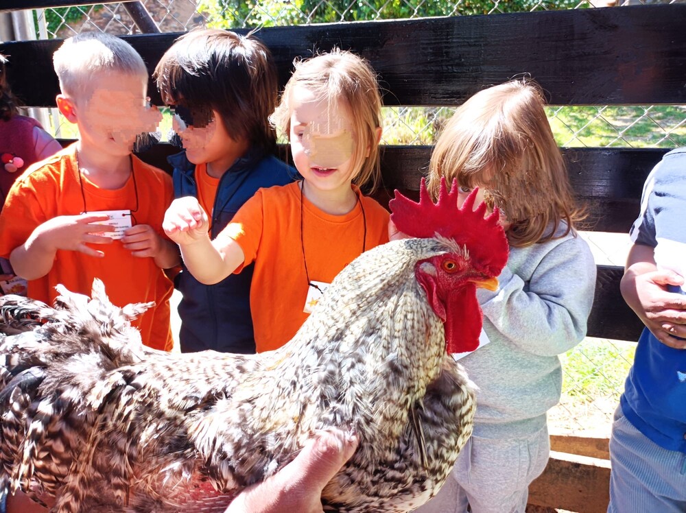 06adb244-de7f-47f3-892e-b77b926dab72