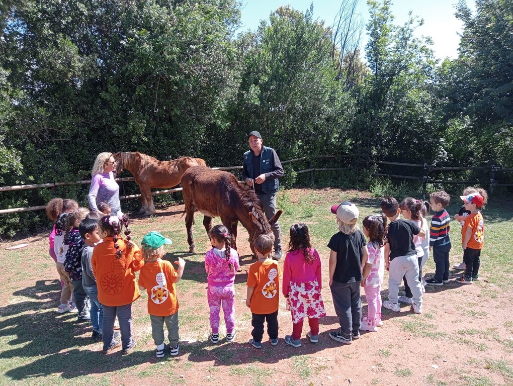 1cc7e384-9acc-41f8-a986-8673d5595bcc