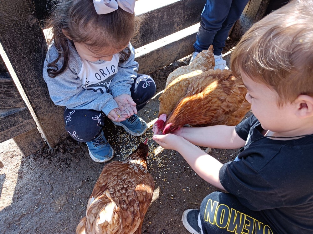 607bce02-277c-416d-a47b-c8139e1b6730