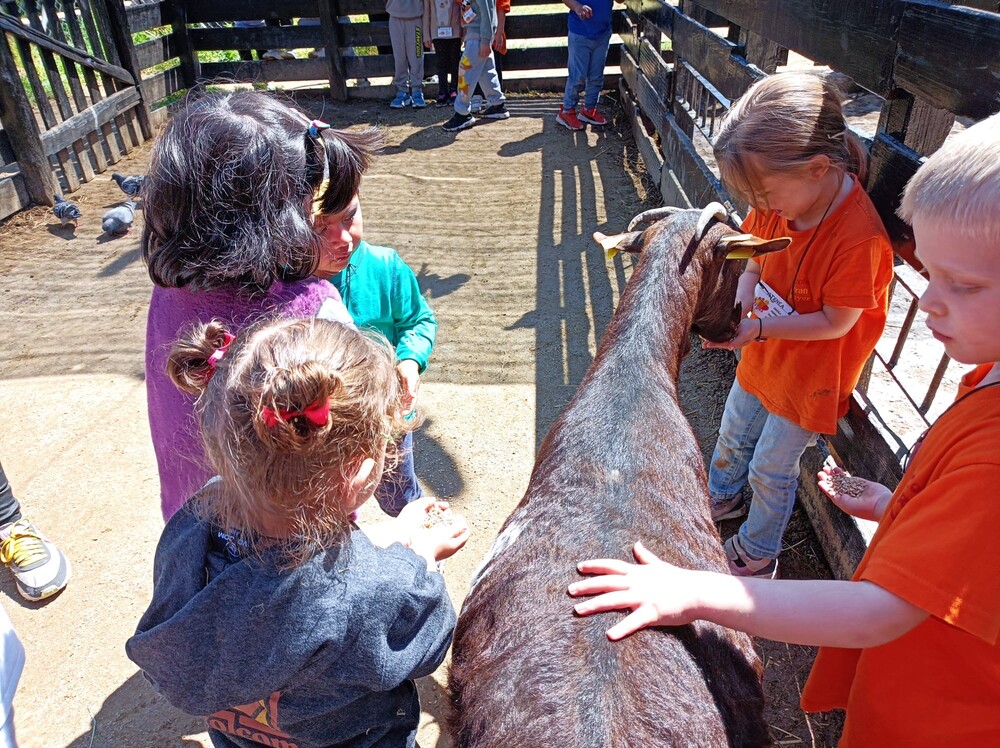 6aef49a3-bf1e-4b7b-99db-5efb1f051d01