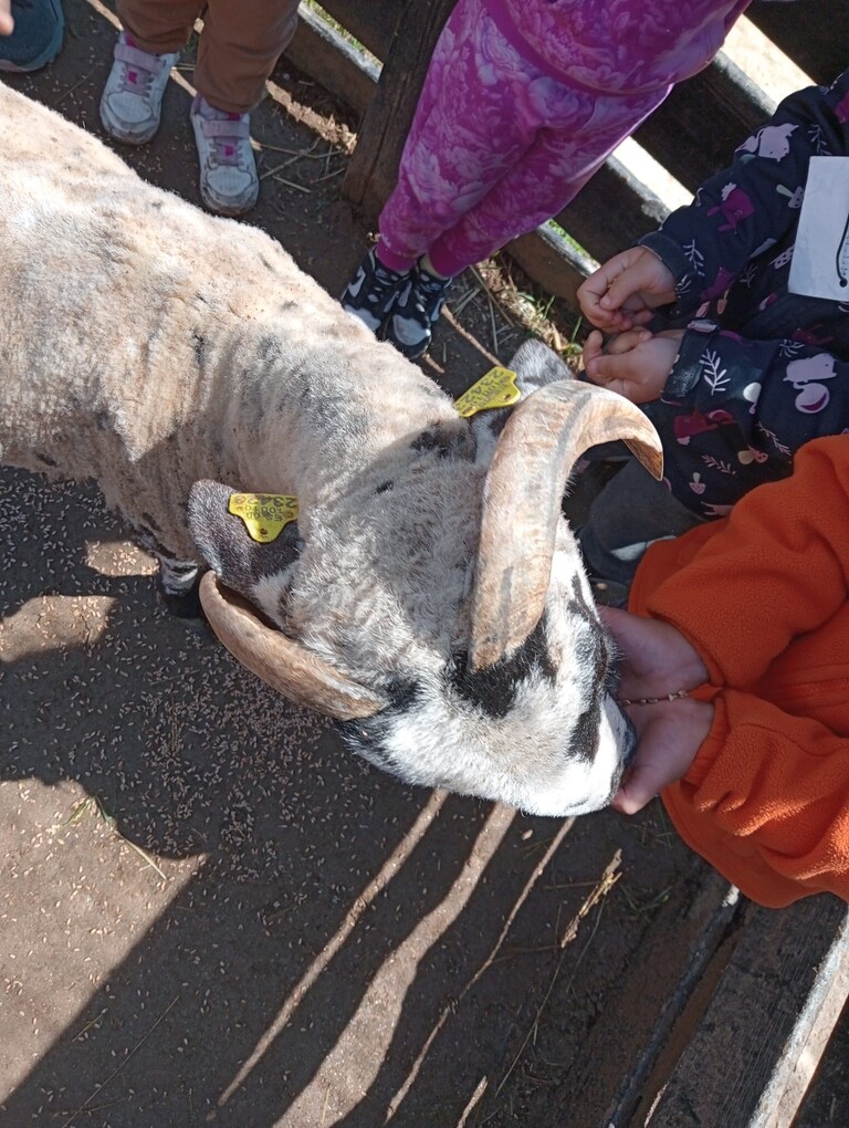 8ce21520-2fe9-4ff0-b05e-88c0c3e8e620