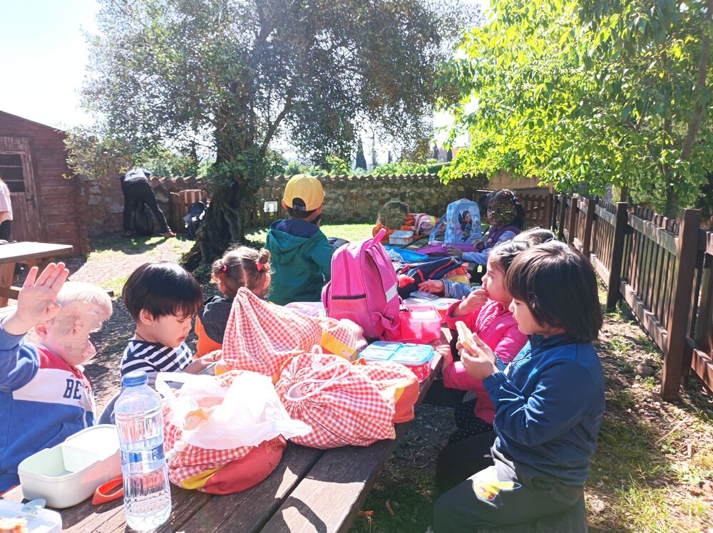 c06f9ece-efc9-441b-9255-0d5f82d0ae0d