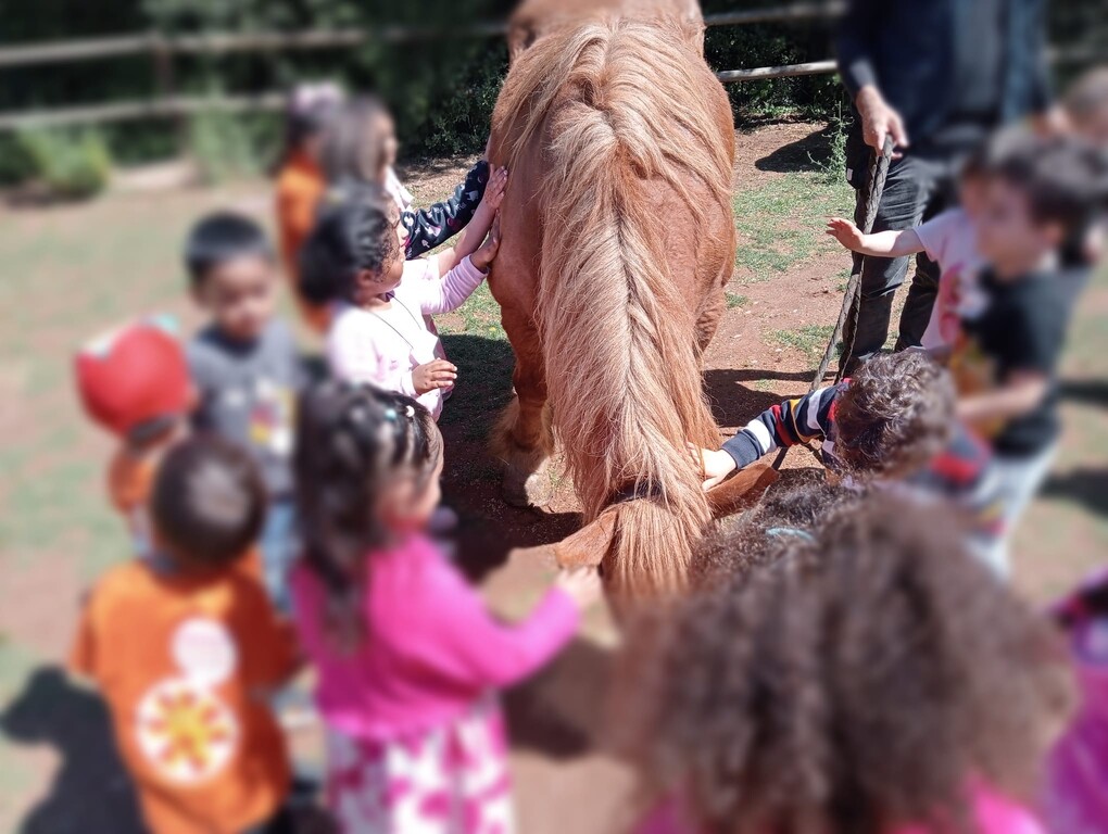 e820c471-039c-4140-b10e-74f0bc5317c9