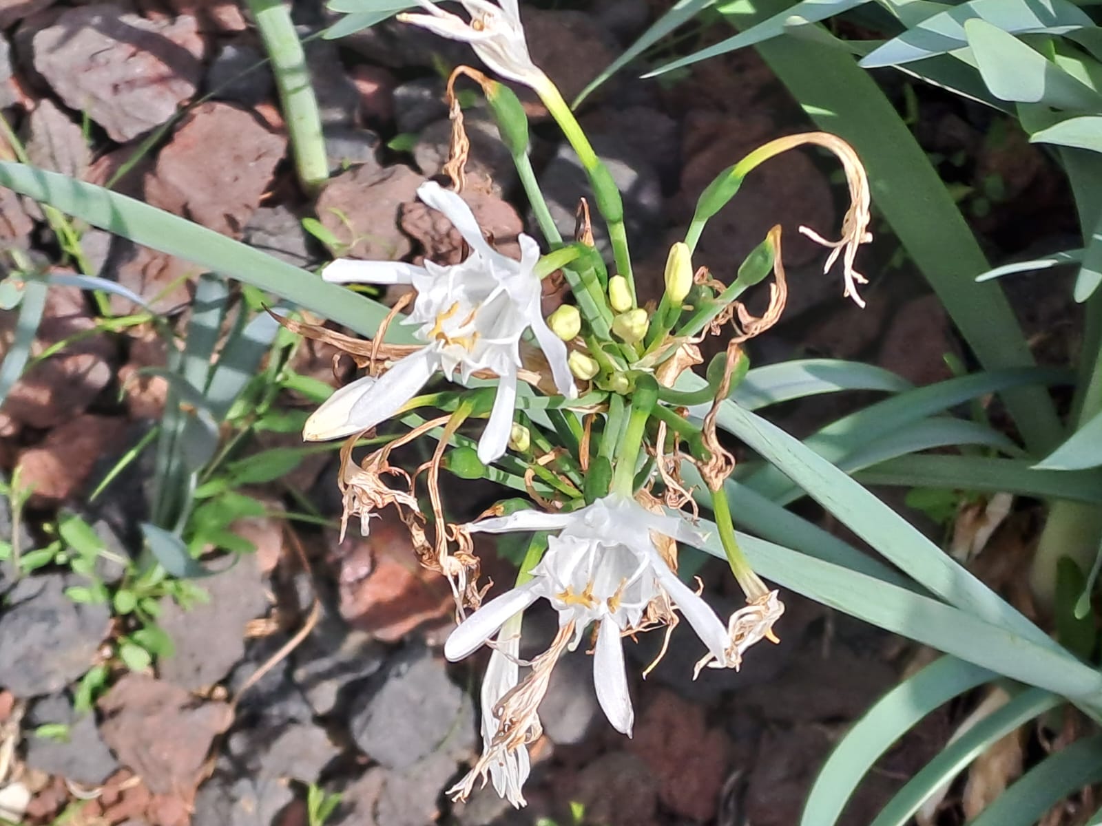 018ed4f8-6661-4f2c-9de0-5be62b9f4ad0