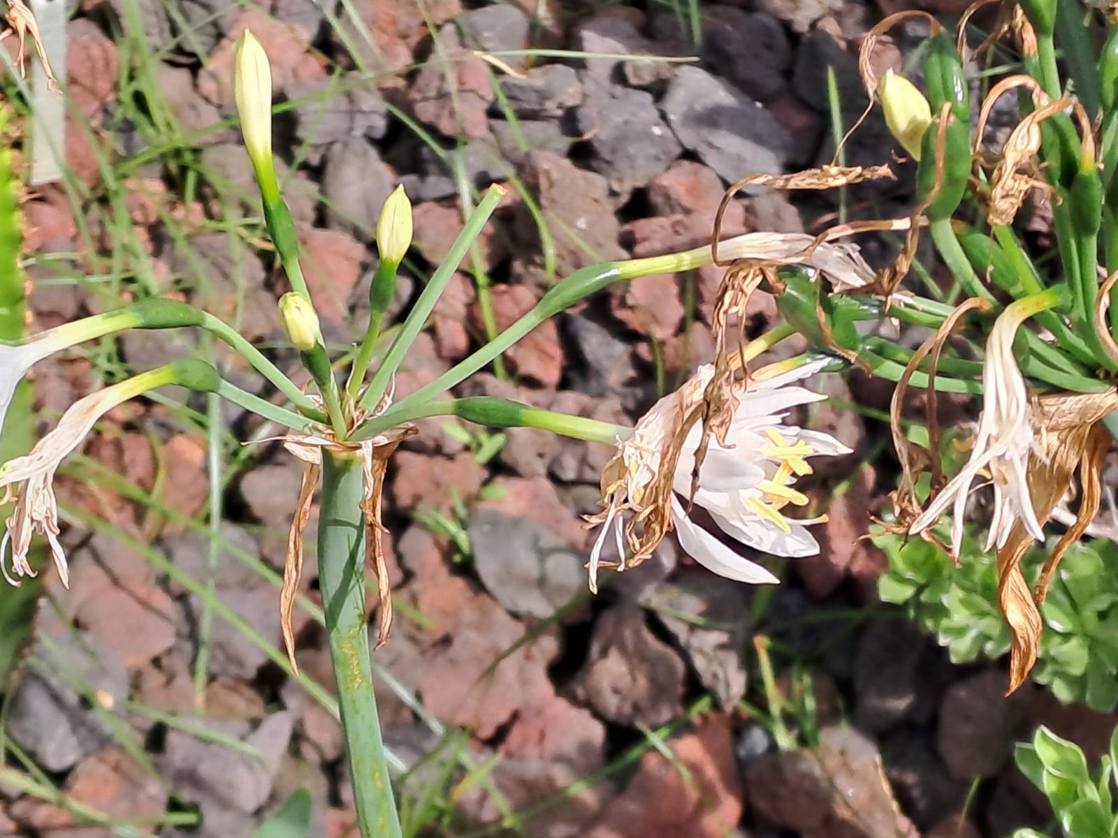 094a97d9-abc1-4323-97e4-4728f86da78a