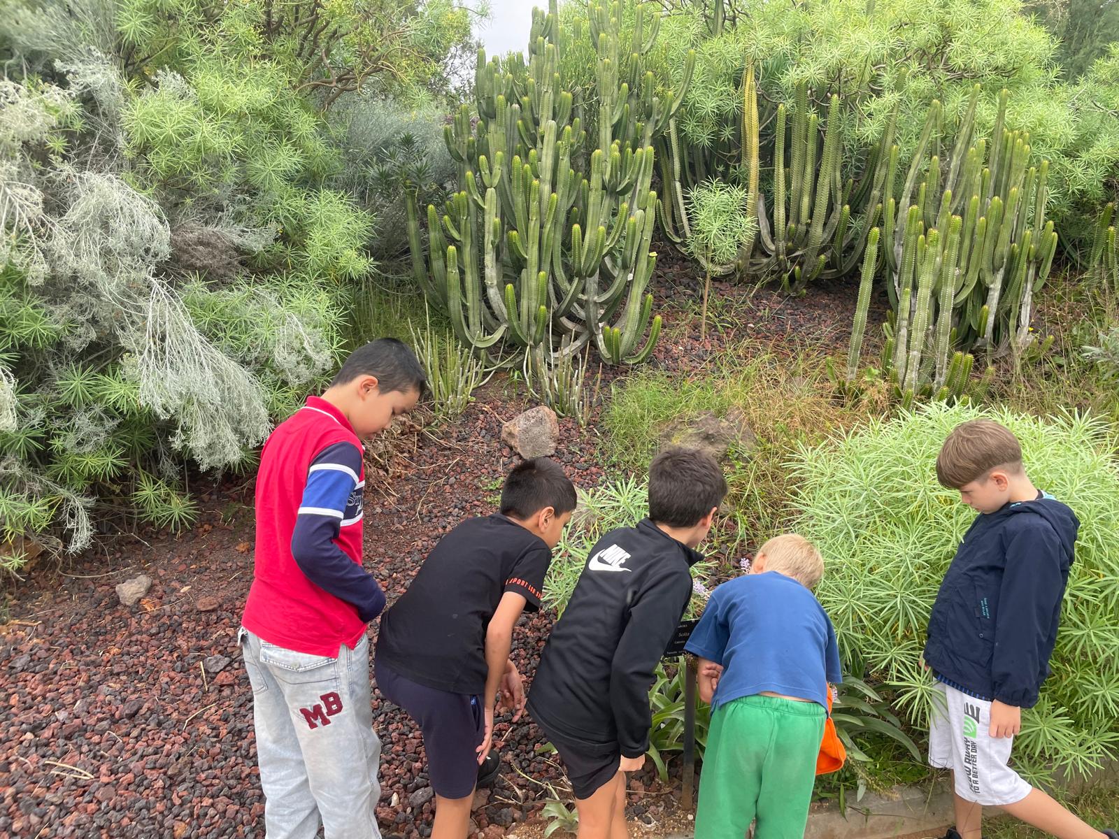 21783c54-9642-4415-8730-e9c18c29408b