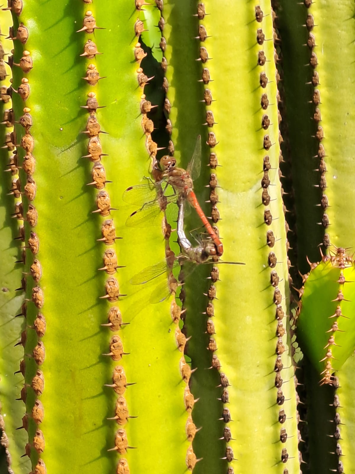 4745a716-e63f-44f3-bcc7-bd17d845d637