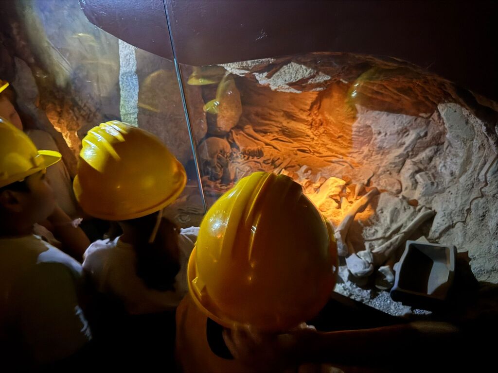 PHOTO-2025-10-01-16-36-37 (3)