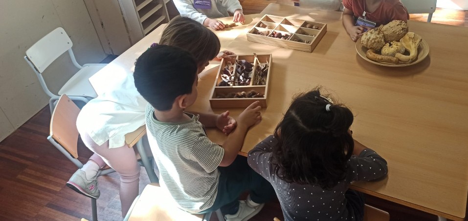 Screenshot_20251021_111624_WhatsApp (1)