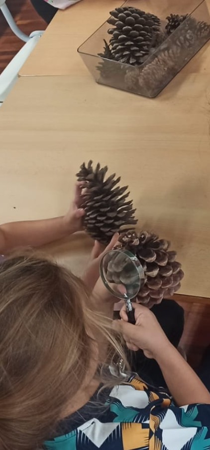 Screenshot_20251021_111654_WhatsApp