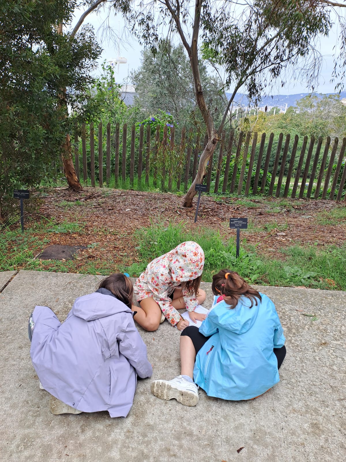 f18b77c2-85e2-4fe4-a6df-c6dffaf8ca8d