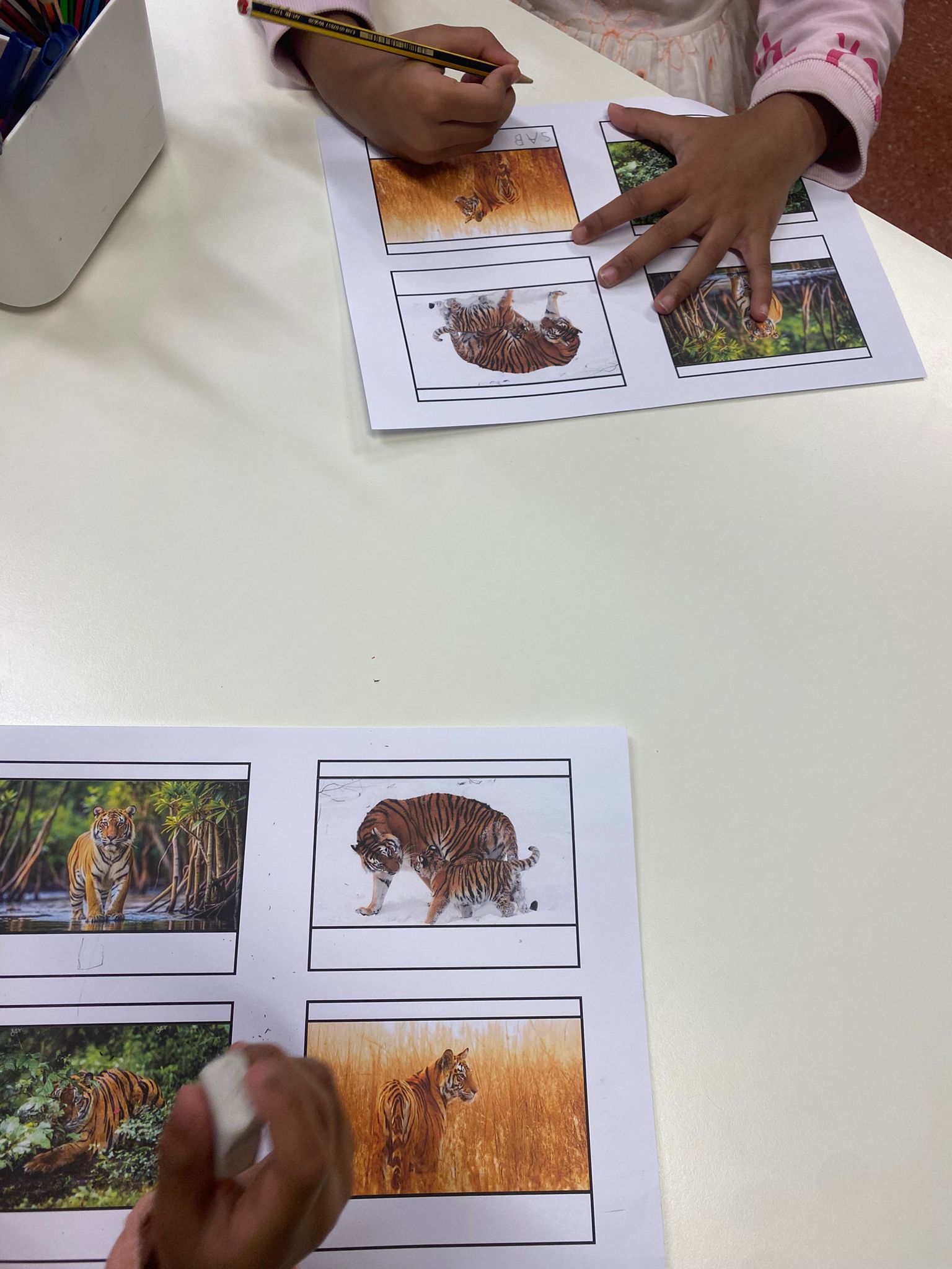 WhatsApp Image 2025-11-25 at 14.41.36 (1) (1)