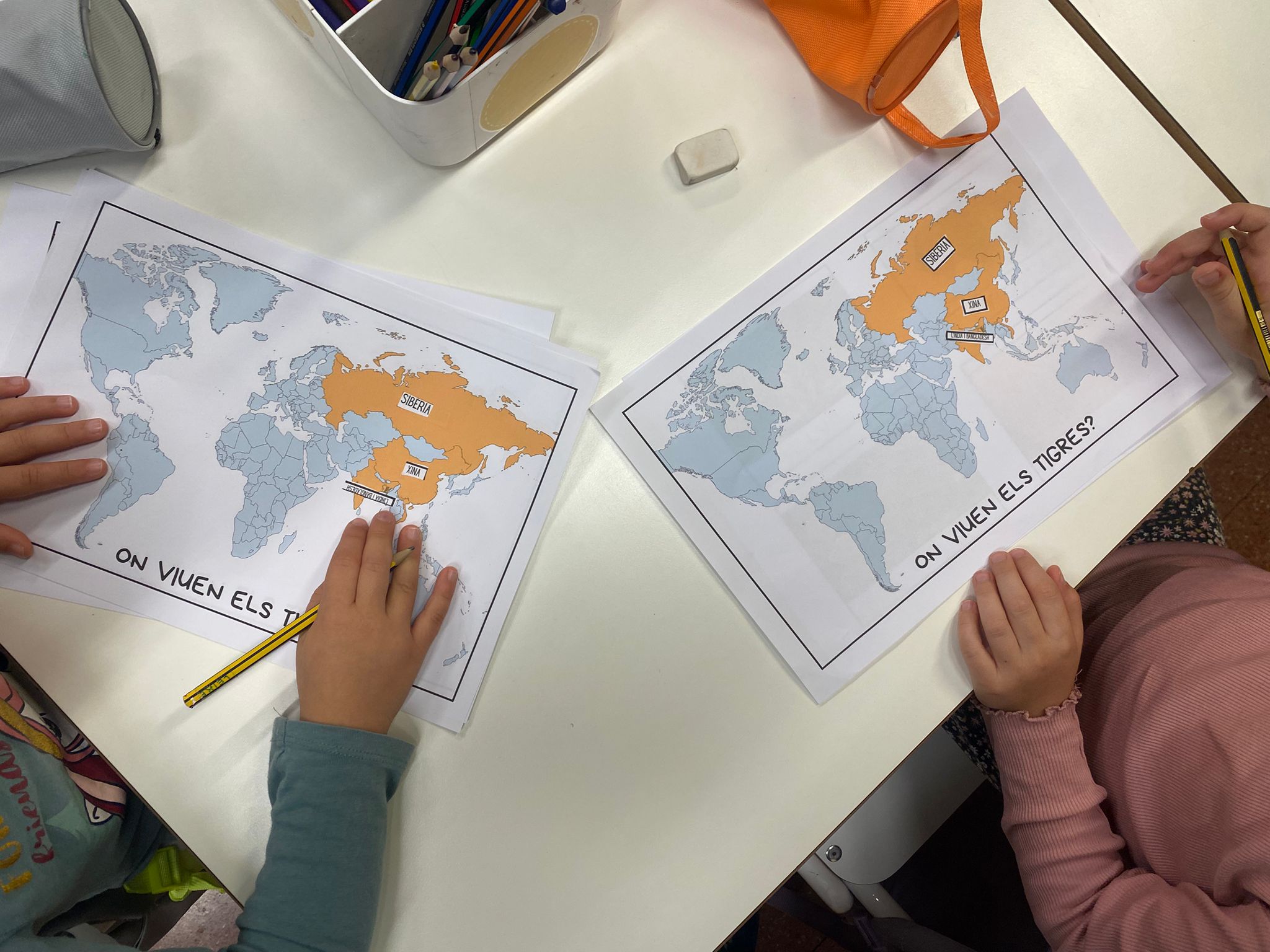 WhatsApp Image 2025-11-25 at 14.41.36 (2)