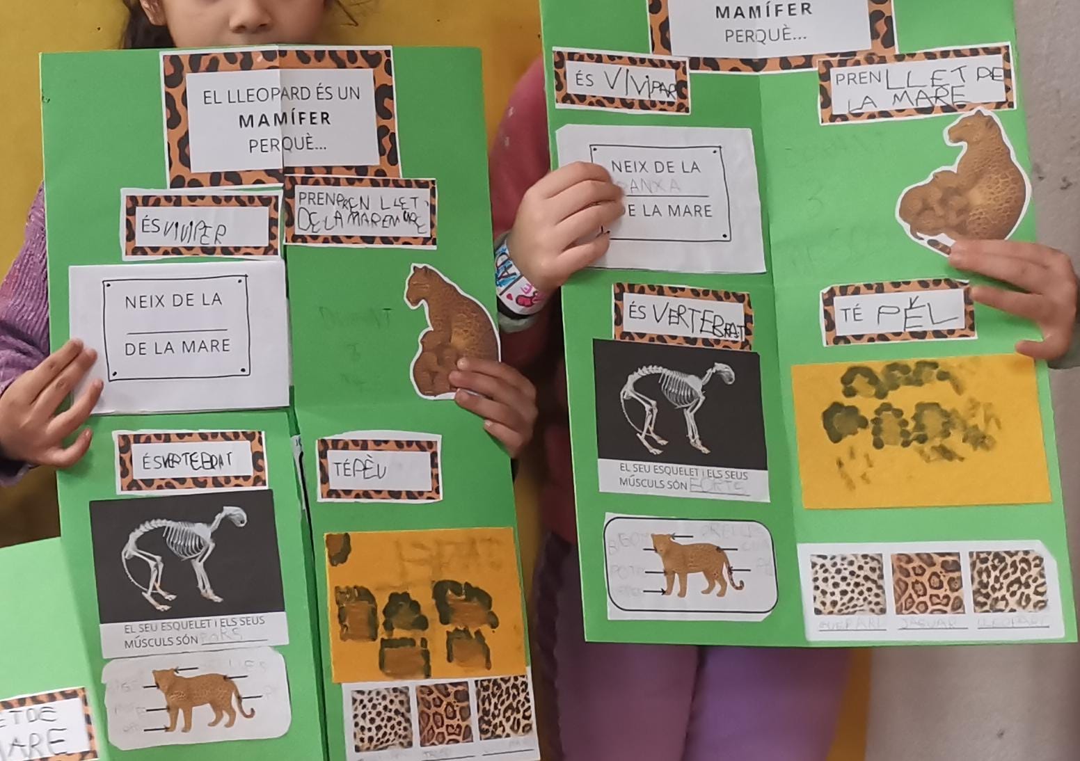 WhatsApp Image 2025-11-25 at 16.56.26 (1) (1)