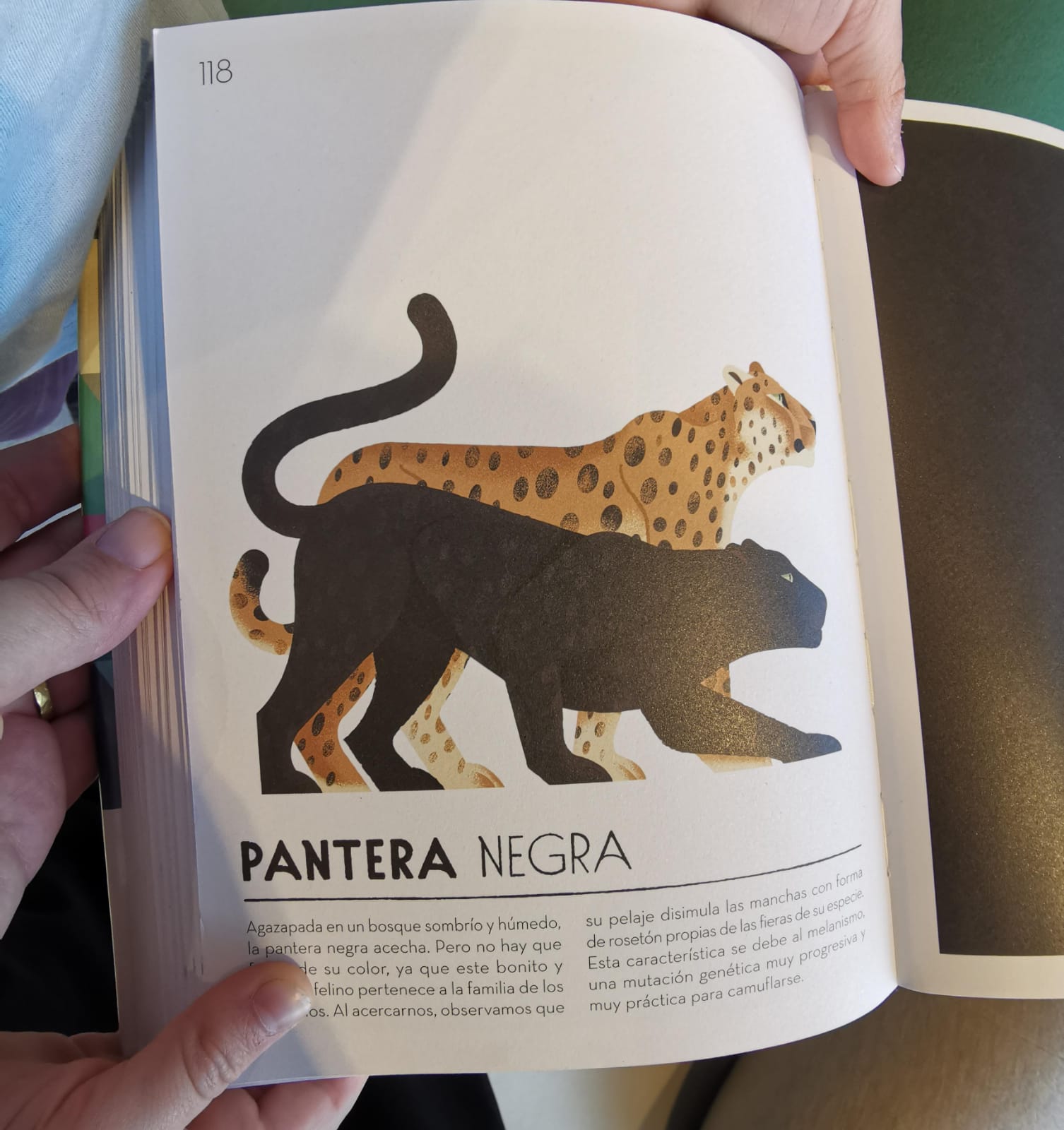 WhatsApp Image 2025-11-25 at 16.56.26 (2) (1)