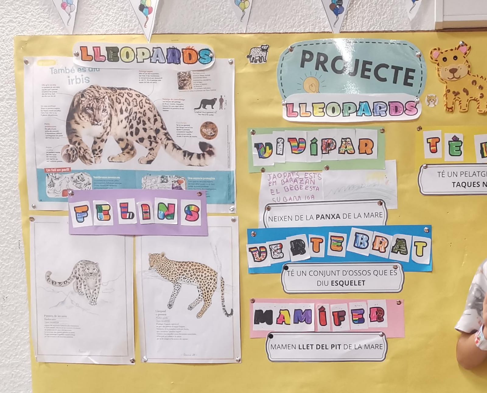 WhatsApp Image 2025-11-25 at 16.56.26 (4)