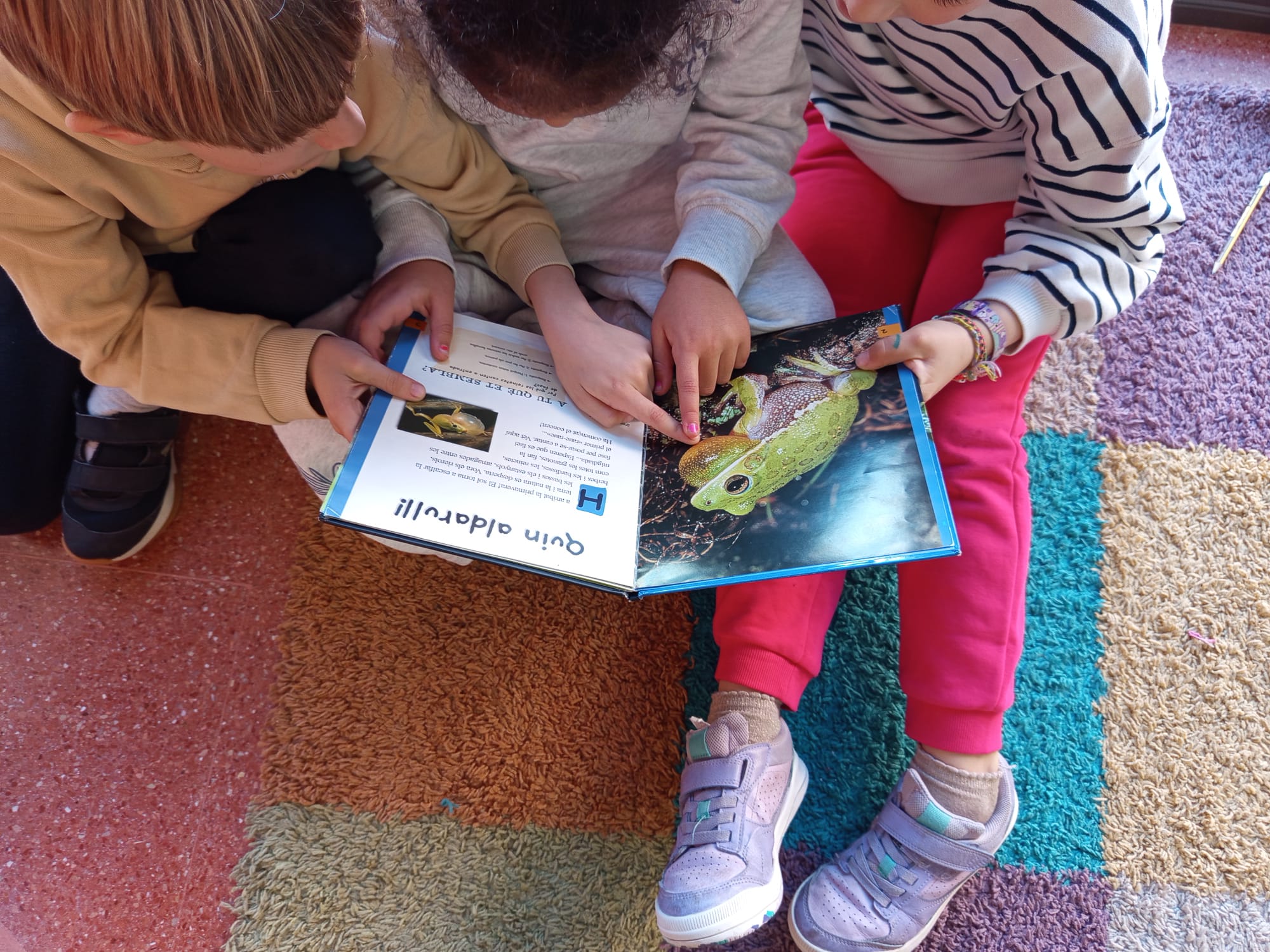 WhatsApp Image 2025-11-26 at 09.39.12 (1) (1)