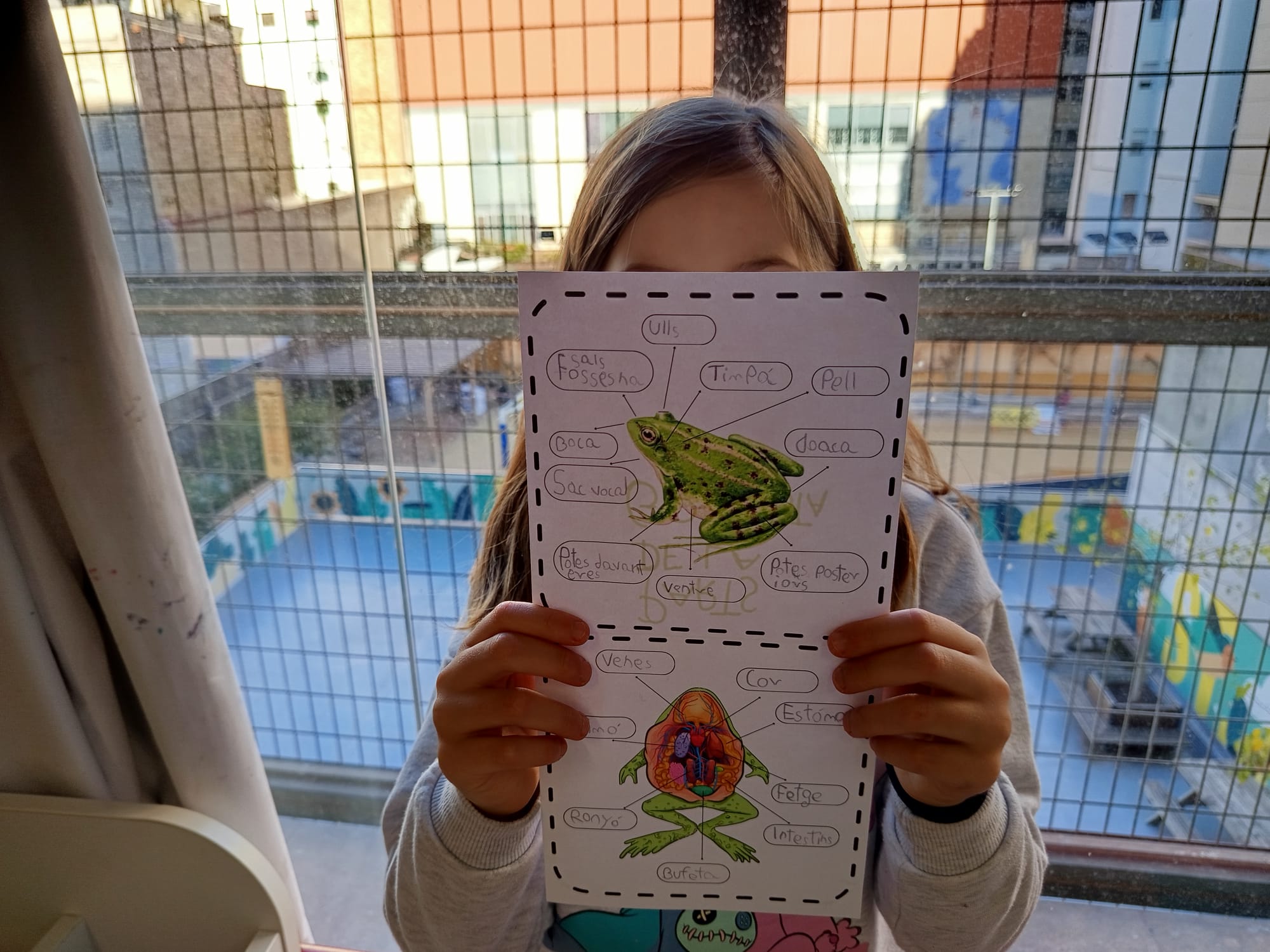 WhatsApp Image 2025-11-26 at 09.39.12 (2)