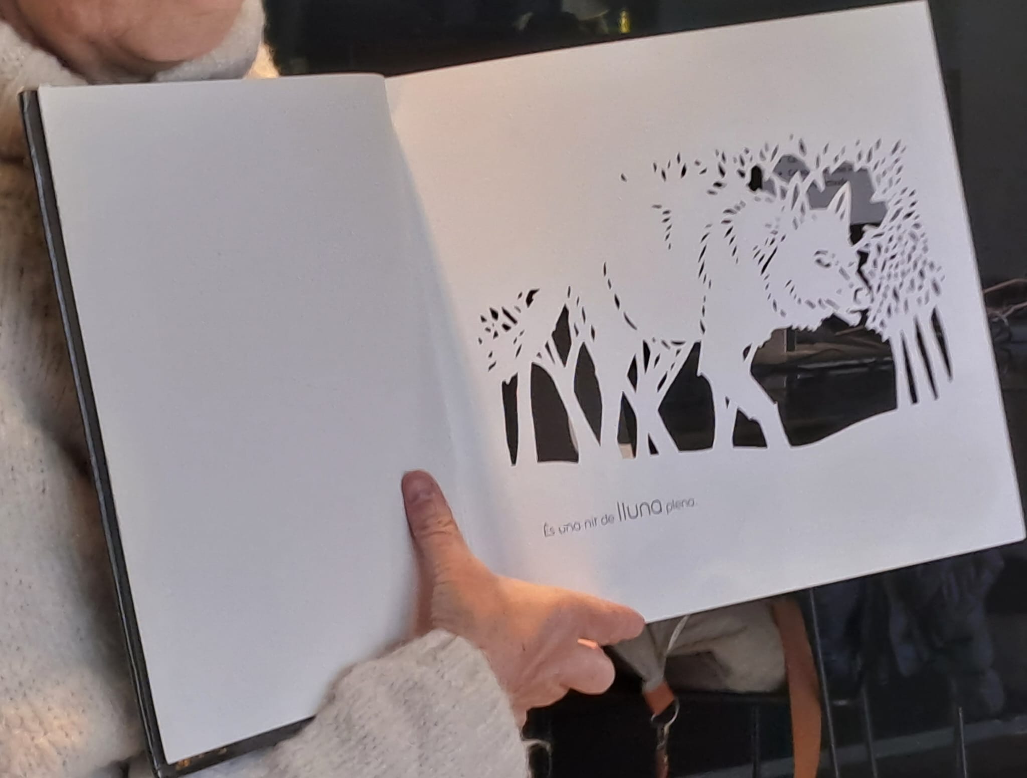 WhatsApp Image 2026-01-28 at 22.08.23 (1)