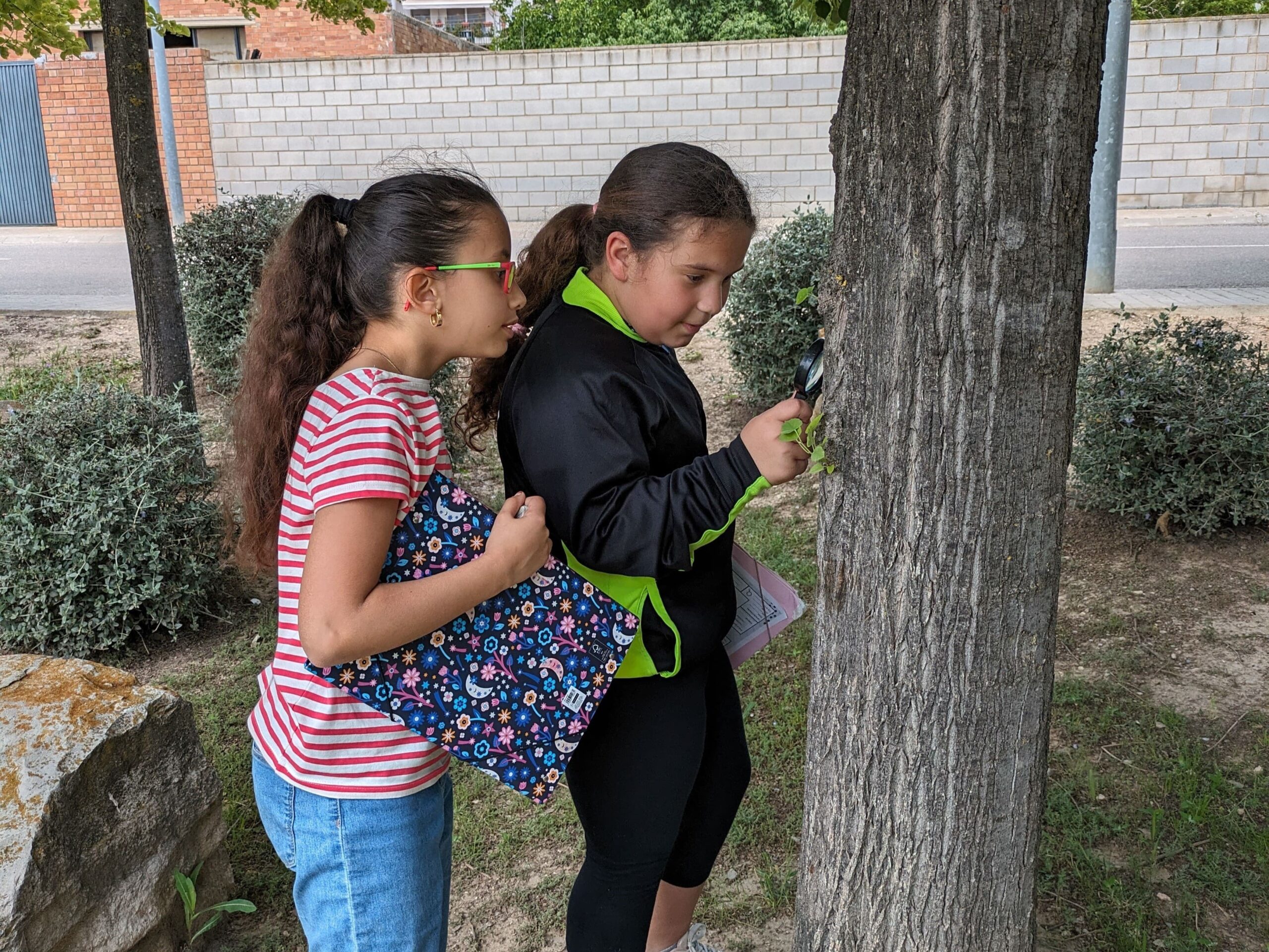 PXL_20240522_132453442