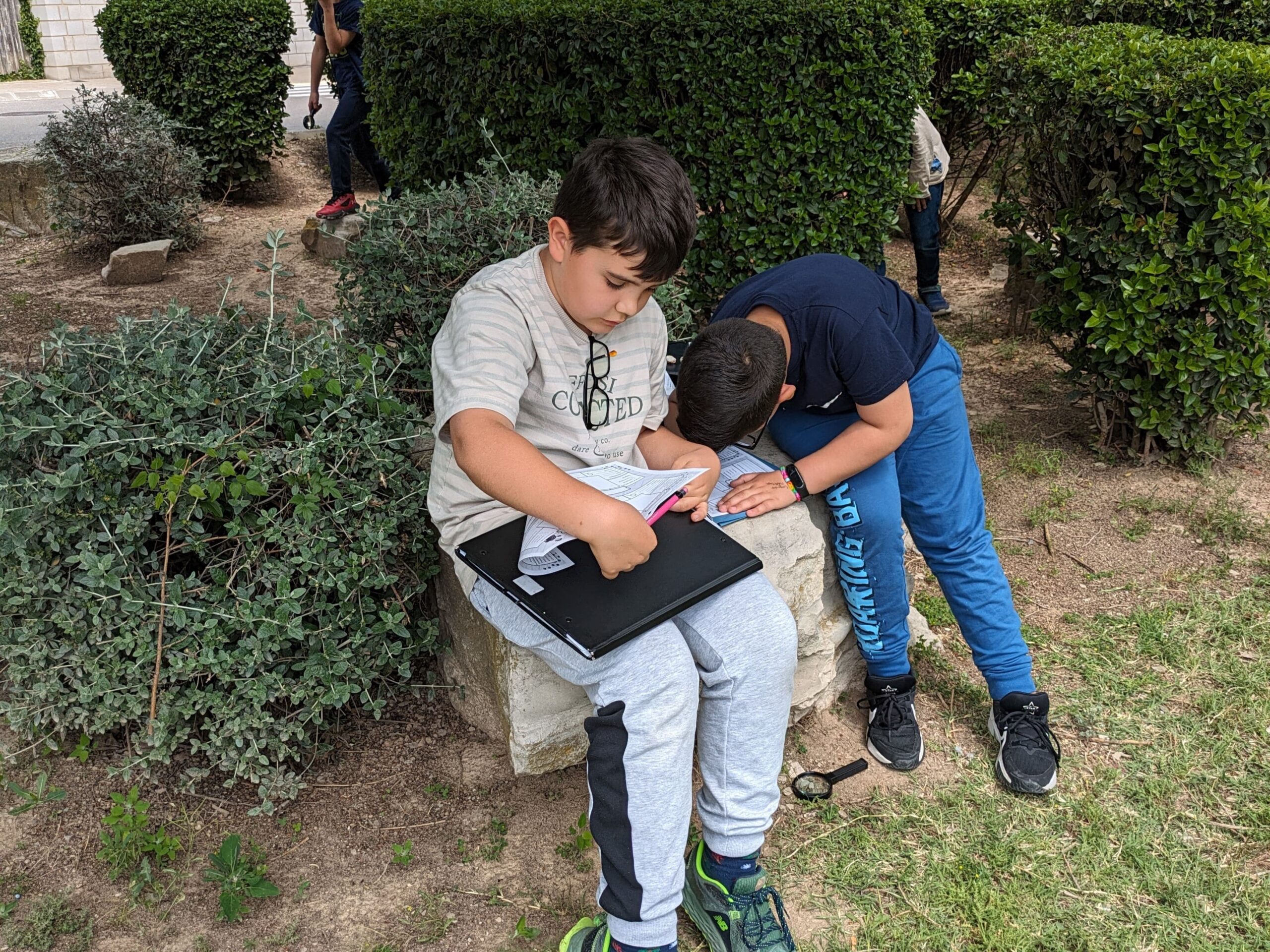 PXL_20240522_132503351