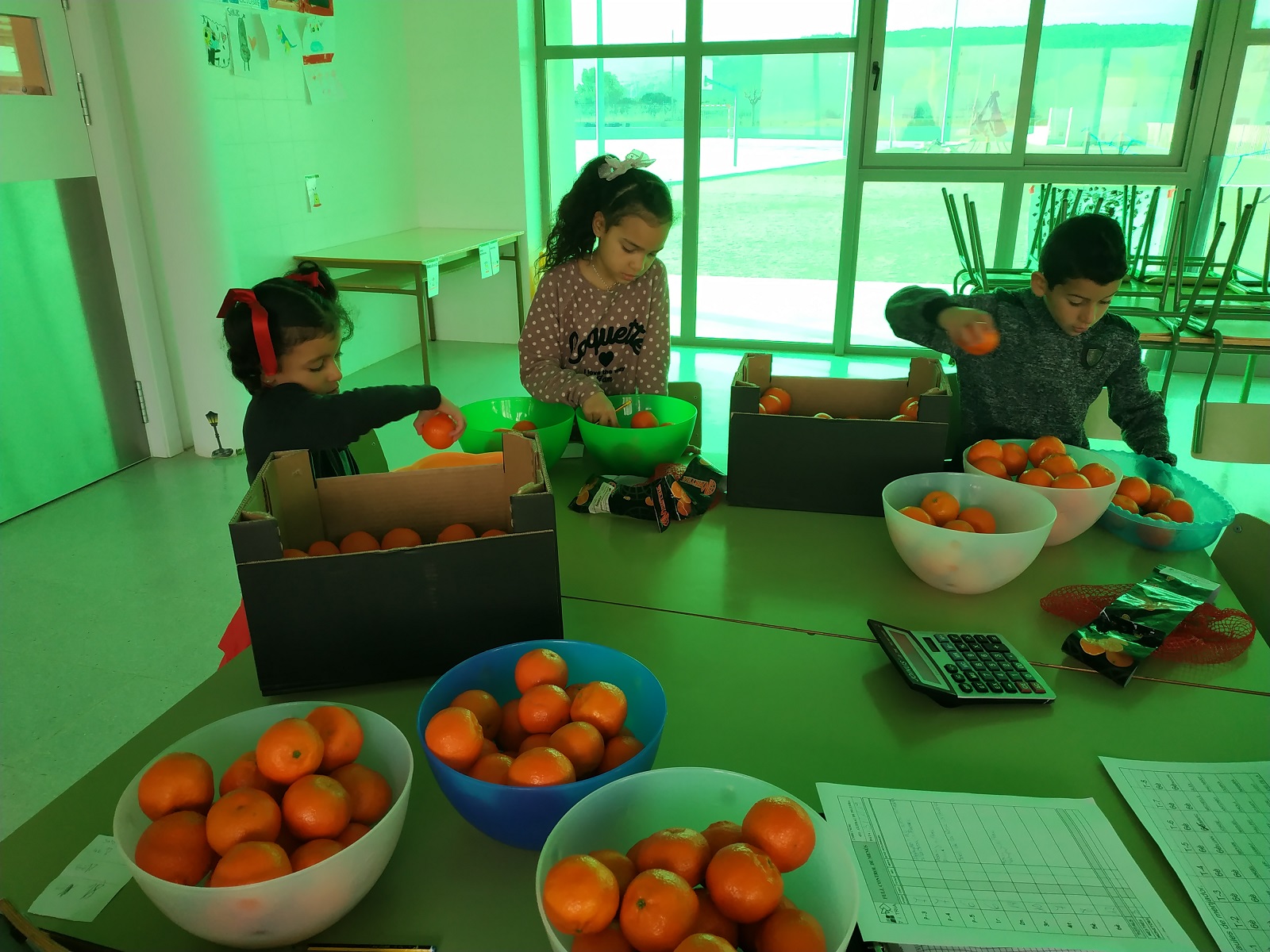 IMG_20190131_094625_R