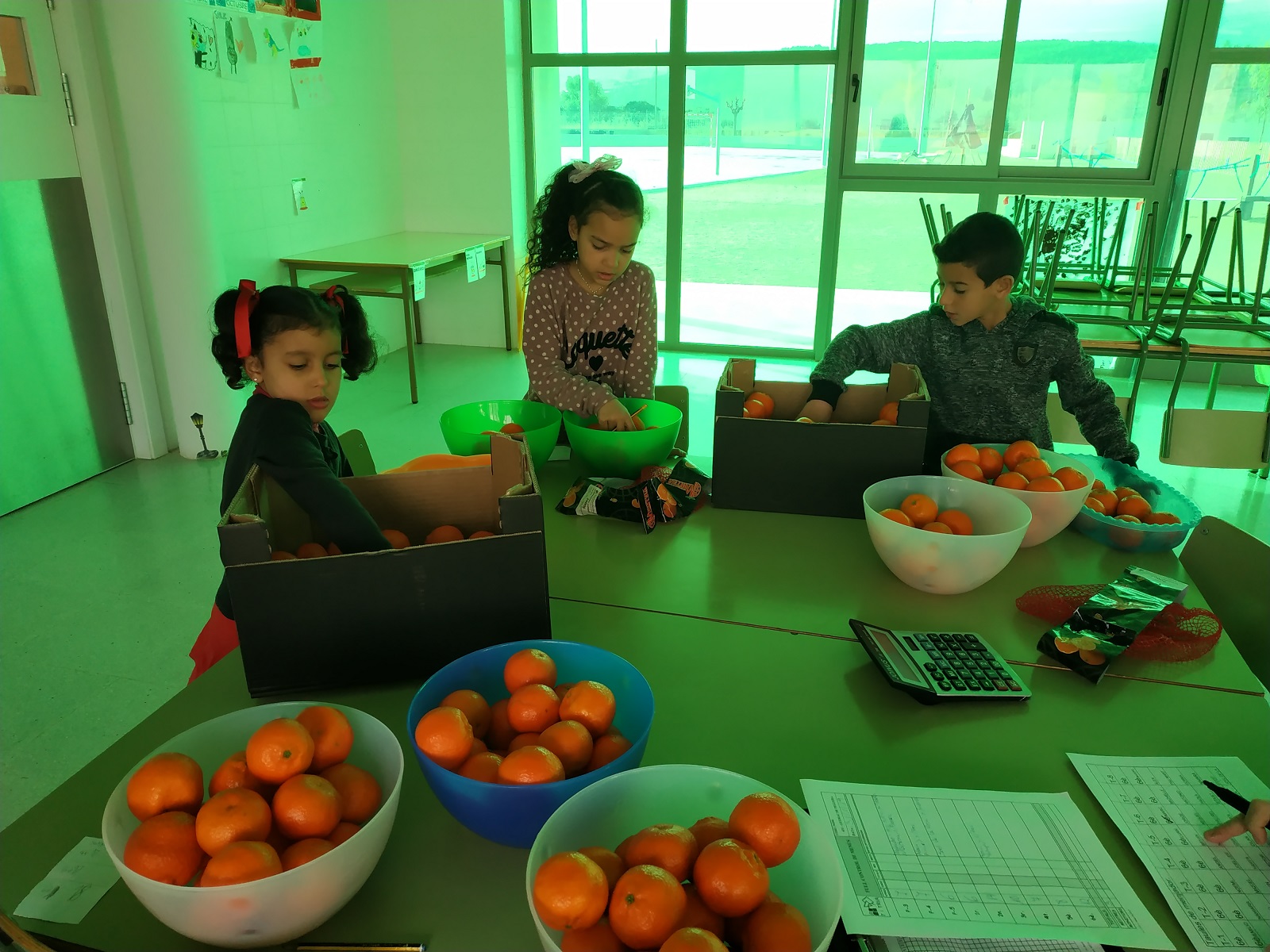 IMG_20190131_094626_R