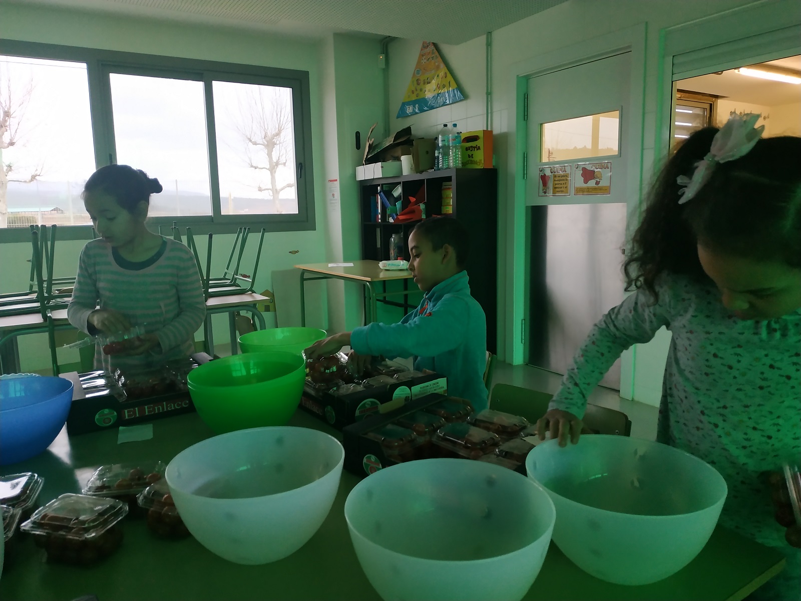 IMG_20190201_093739_R