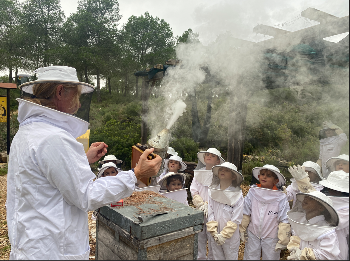 Captura de pantalla 2024-11-17 234017