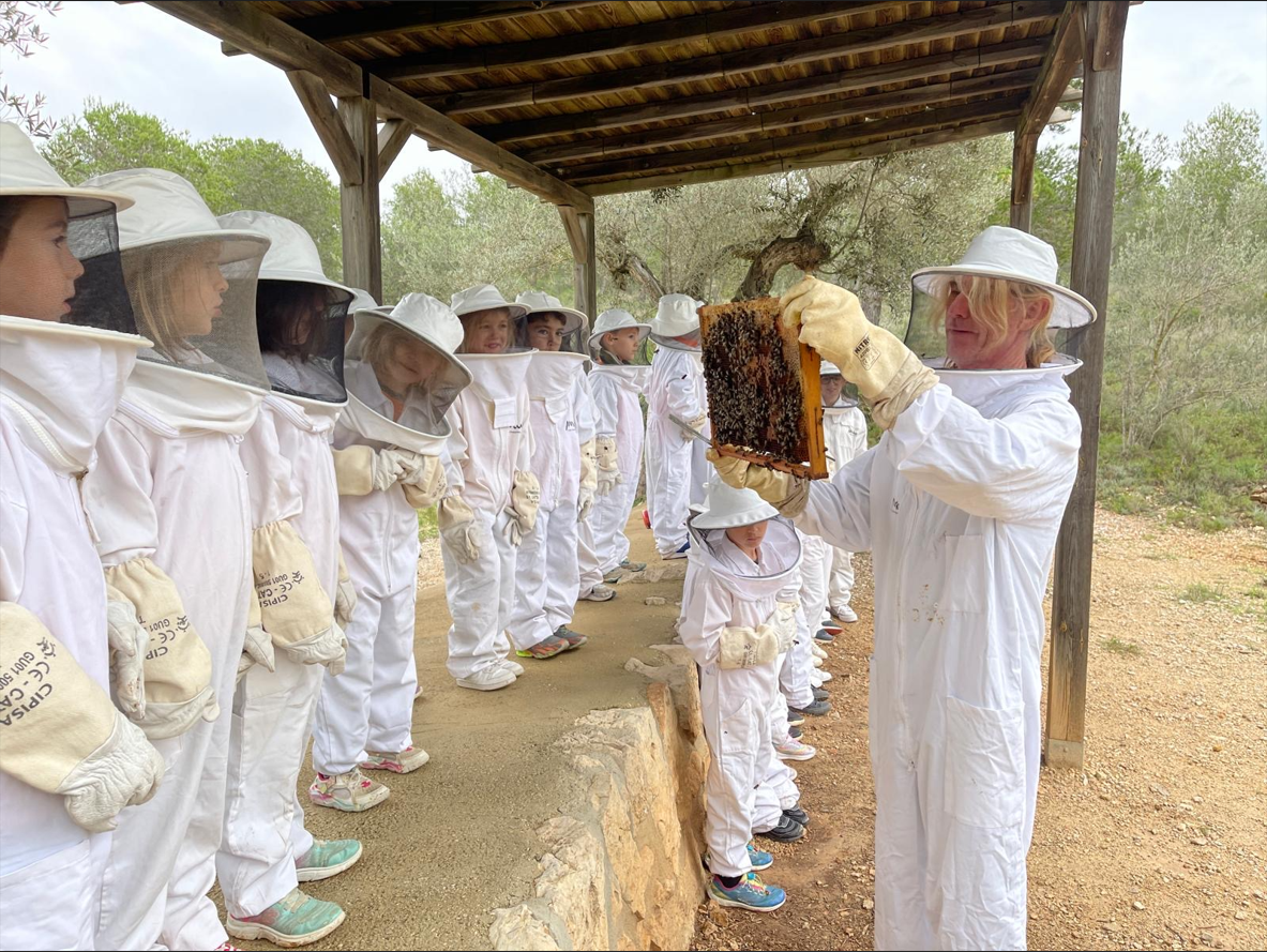 Captura de pantalla 2024-11-17 234138